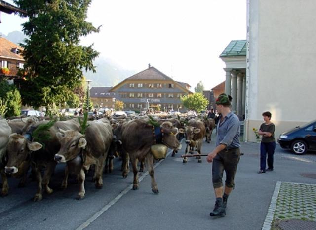 Hotel Oxa Hittisau Exterior foto